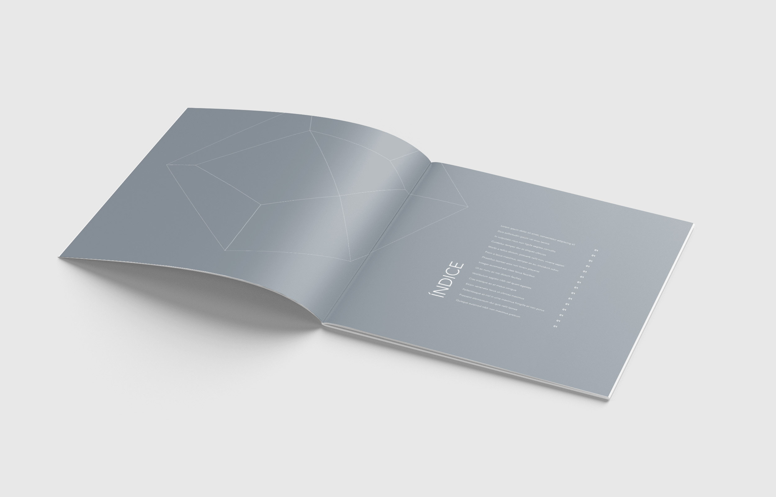 MinaLagoaSalgada-Brochura-Mockup-02c